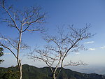 云台山