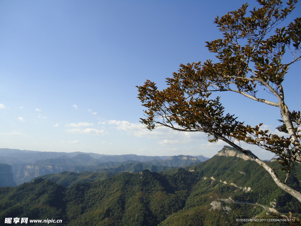 云台山 朱荑峰