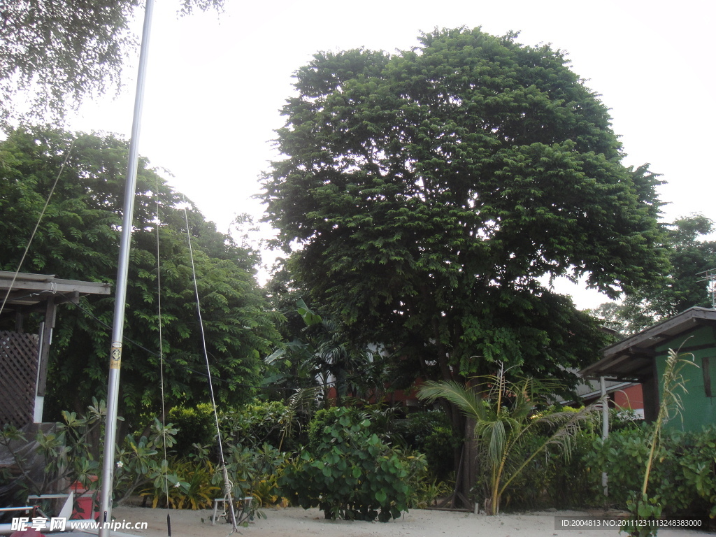 热带植物园