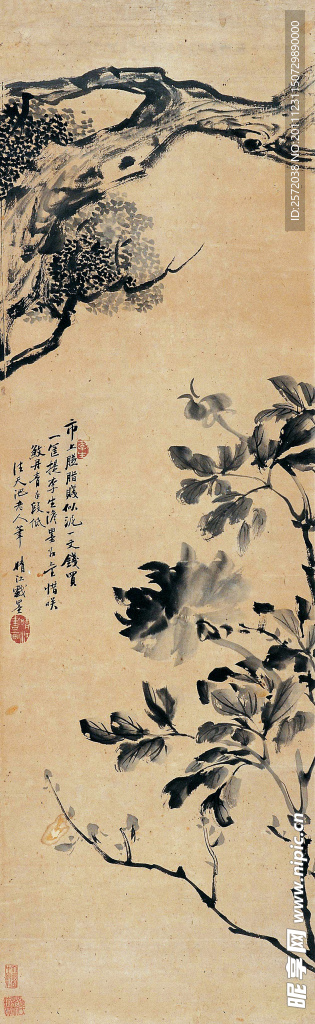长条花卉