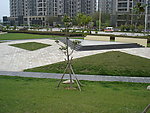 公园景观参考图片