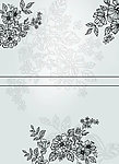 冰清玉洁