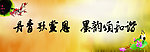 书法展板