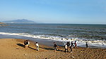 海拍
