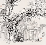 古槐旧屋