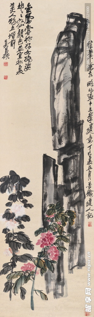 牡丹