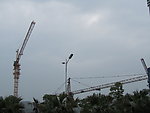 电线杆