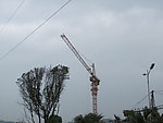 电线杆