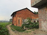 田野
