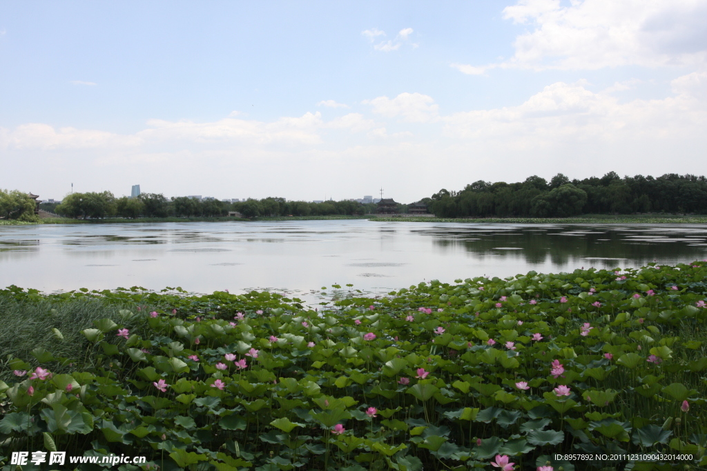 颐和园 昆明湖西提风景