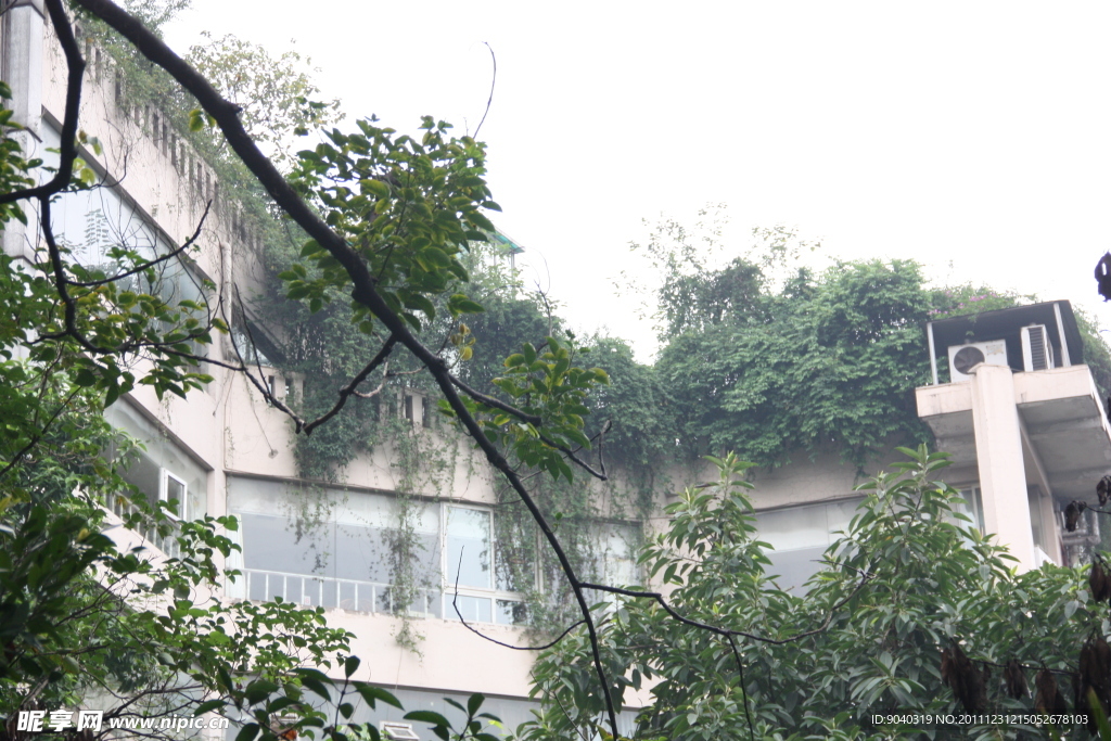 城市的 独特风景
