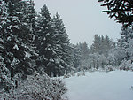 窑子沟雪景