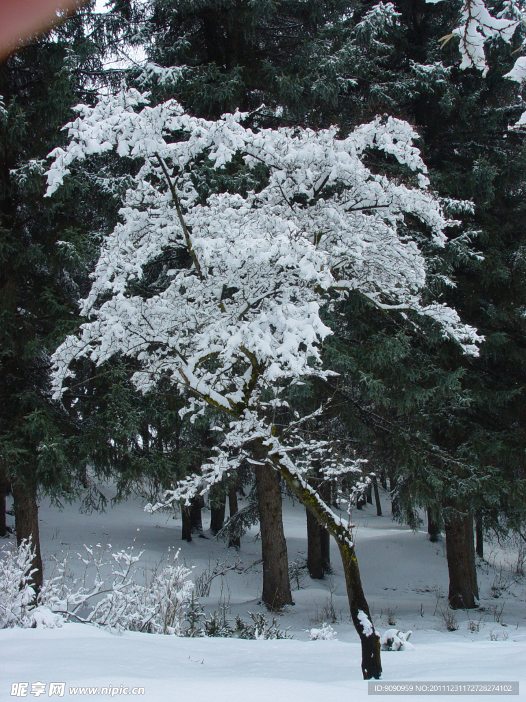 窑子沟雪景