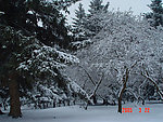 窑子沟雪景