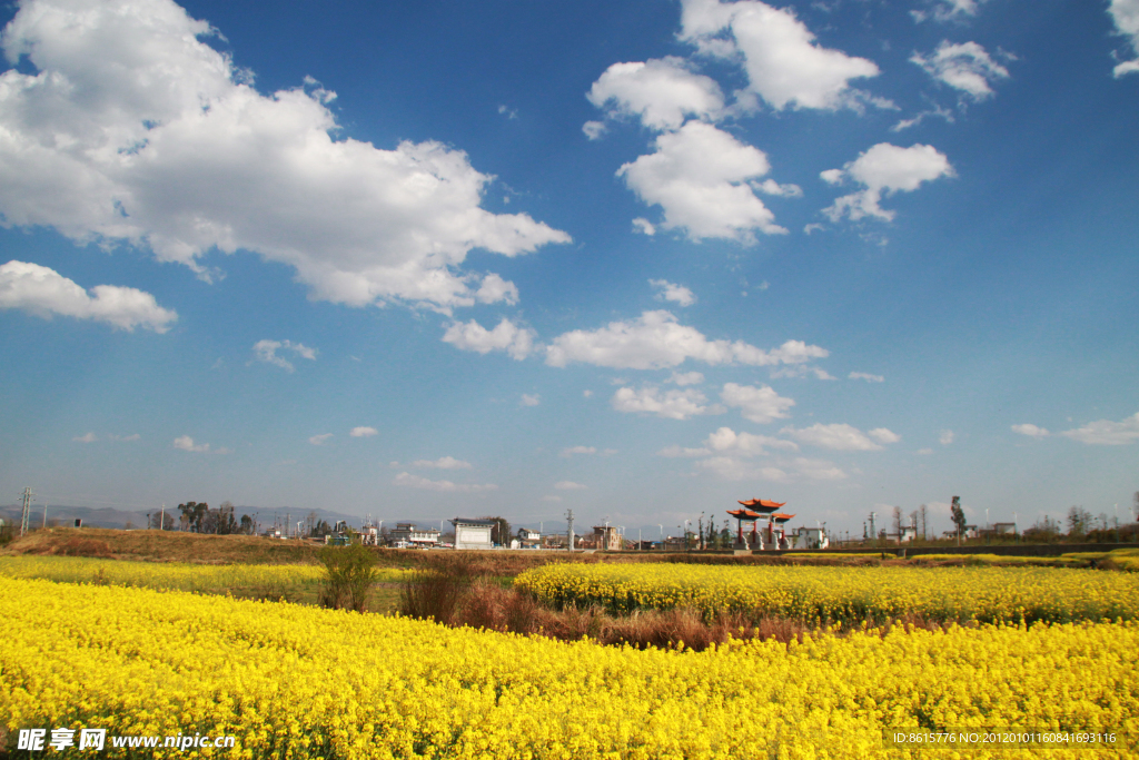 乡村风景