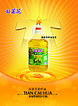 菜籽油海报
