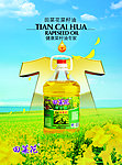菜籽油海报