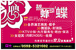招蜂引蝶