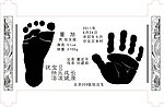 卷轴龙卷轴