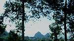 树林里 山峰