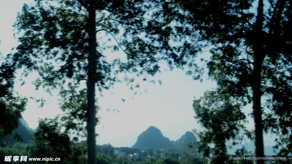 树林里 山峰