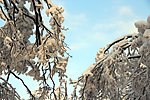 雪景 峨眉山