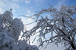 雪景 峨眉山