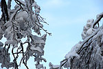 雪景 峨眉山