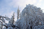 雪景 峨眉山