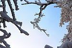 雪景 峨眉山
