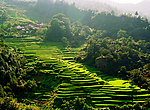 池州三石梯田(非高清)