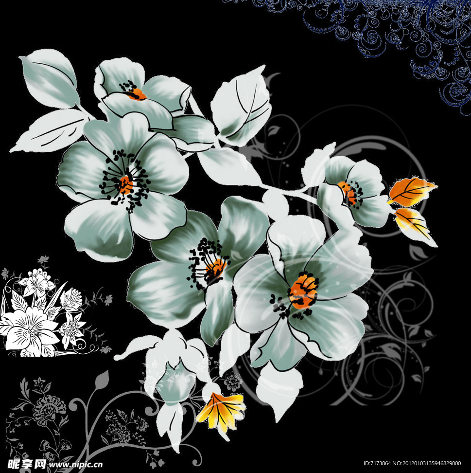 木槿花 花边素材