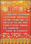 移动 海报