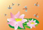荷花蜻蜓图