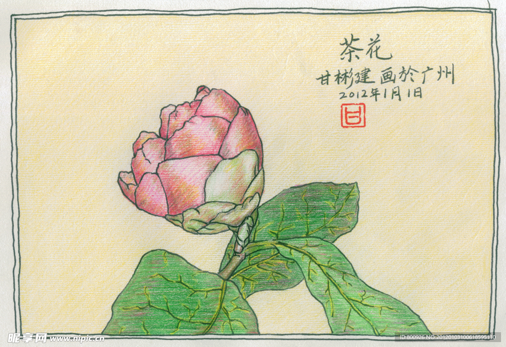 茶花