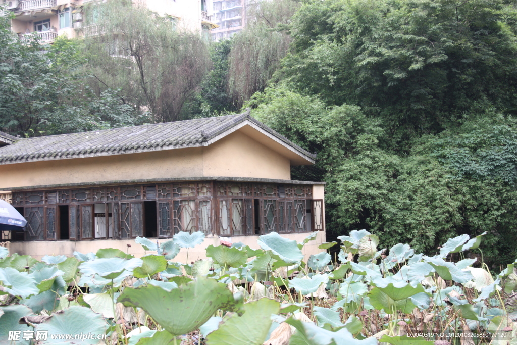 淡雅屋子