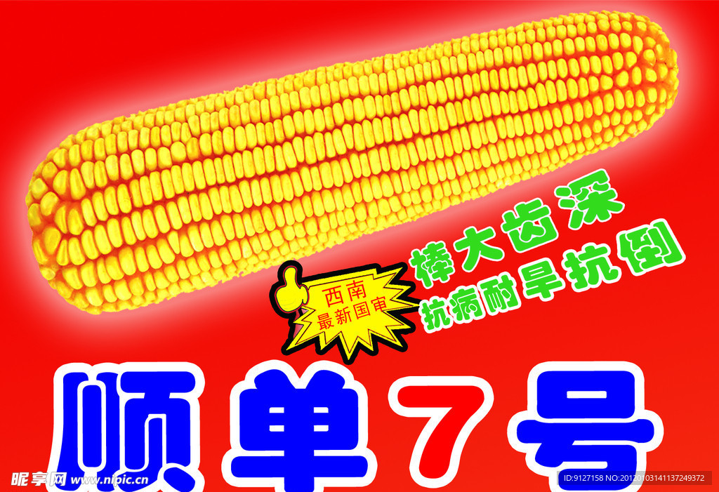 顺单7号