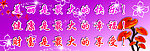 美丽