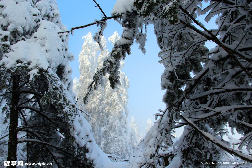 雪景 峨眉山