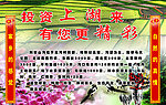 农村展板