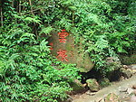 云根