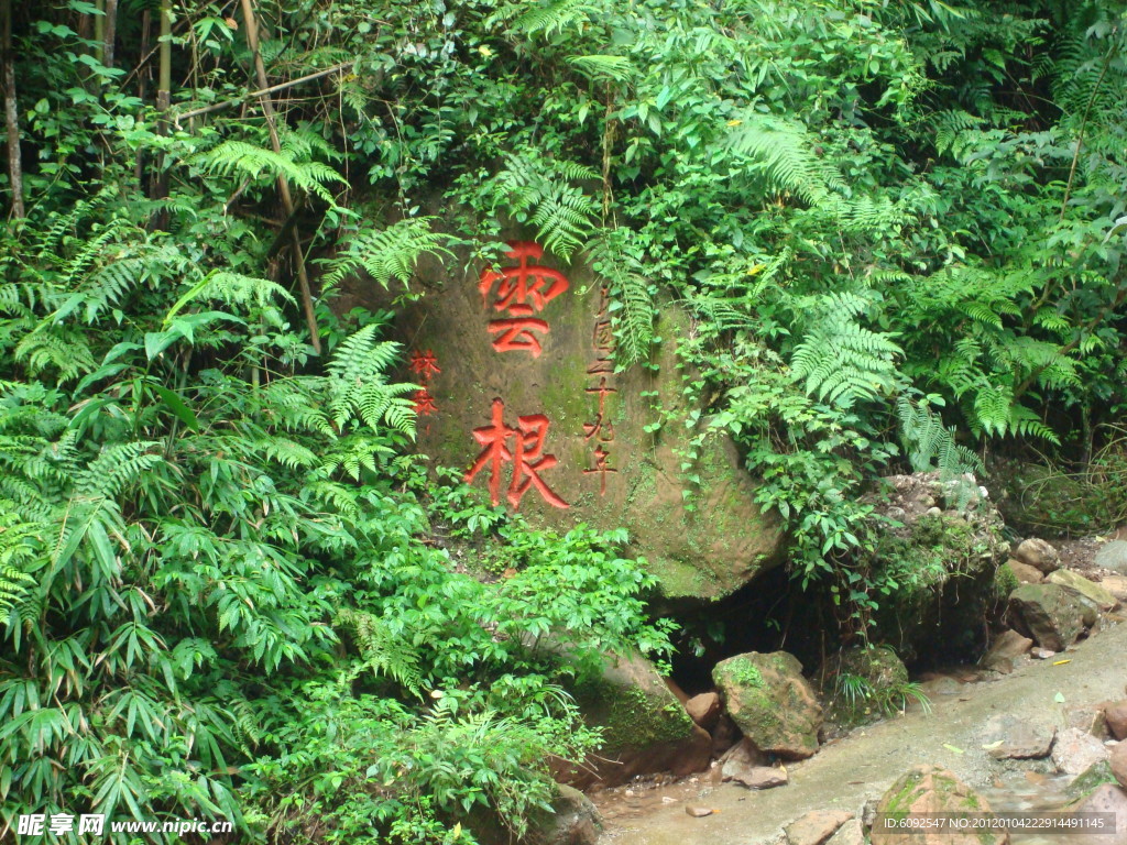 云根