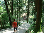 青城山