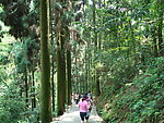 青城山