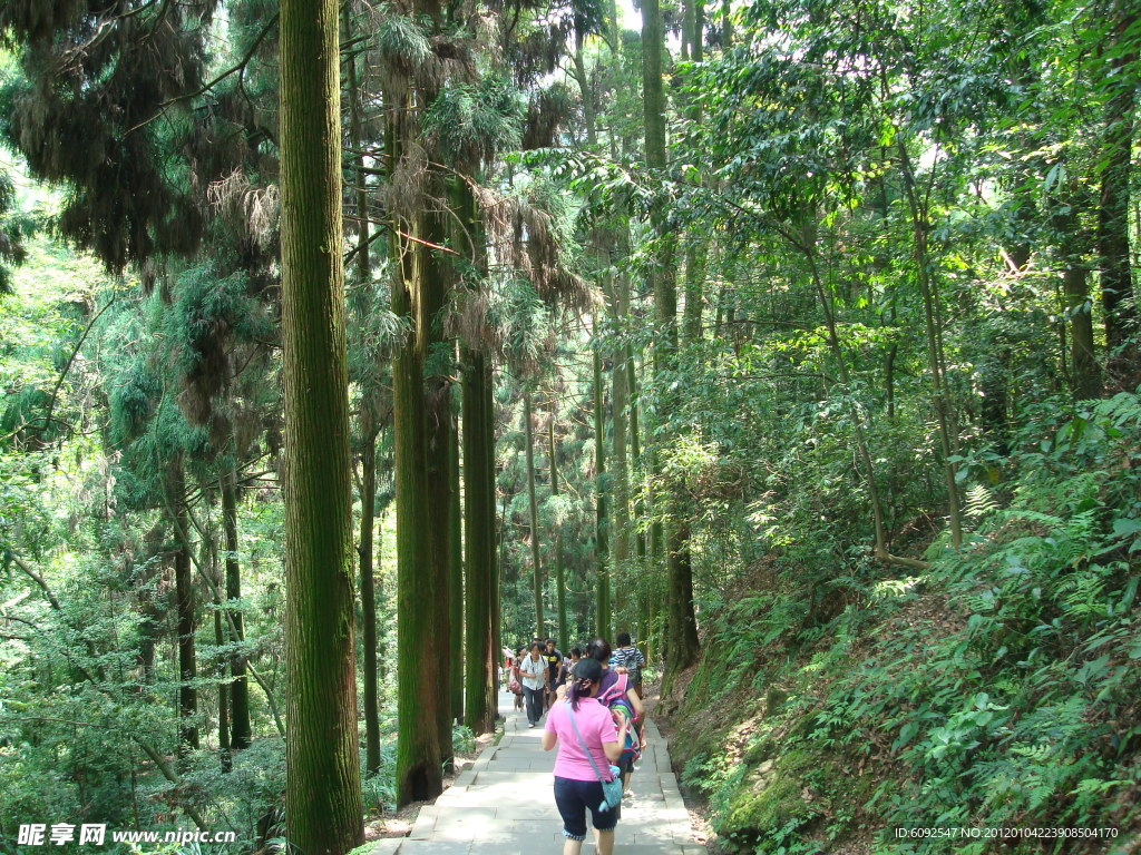 青城山