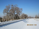 雪后