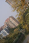 公园景色