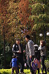 公园景色