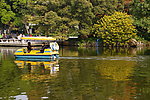 公园风景