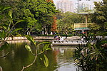 公园风景